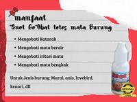 Gambar Obat Mata Burung Murai Batu SNOT GO Original dari jcpstore undefined 3 Tokopedia