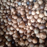 Gambar buah pala kering per 750 grm dari Toko Sahabat-Berkah undefined 1 Tokopedia