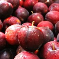 Gambar Buah Plum Australia Manis Fresh Alami Crunchy - 500 gram dari Sari Buah ID undefined 3 Tokopedia