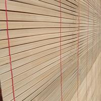 Gambar Tirai Bambu Kerai Bambu Wide Tirai Bambu 2x2 Meter dari GROSIR PADA BERKAH undefined 5 Tokopedia