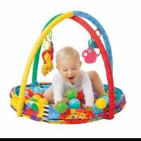 Gambar Playgro Ball Activity Nest (playgro) dari Bluedolphin8 undefined 2 Tokopedia