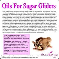Gambar Fish Oil / Minyak Ikan Vitamin Wajib Sugar Glider & Hewan Peliharaan dari ADEWAP SUGAR GLIDER undefined 3 Tokopedia