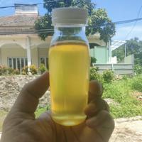 Gambar Minyak Kemiri (Cold Press) Asli & Murni 100% 100 ml - Penumbuh Rambut dari kios herbal aflaha undefined 3 Tokopedia