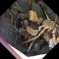 Gambar Kepiting Telur Berkualitas - Seafood Segar - 1 Kilogram dari IKAN SEGAR SRIRIZKI undefined 1 Tokopedia