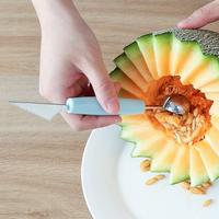 Gambar Pisau Ukir Hias Buah Serbaguna Bulat 2 Sisi / Sendok Buah Serbaguna dari Sejati Official Store undefined 4 Tokopedia