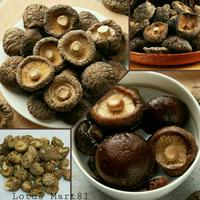 Gambar JAMUR SHITAKE KERING 200 GR / JAMUR PAYUNG / HIOKO / SIANG KU dari Lotus mart81 undefined 1 Tokopedia
