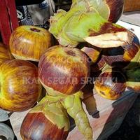 Gambar Paket Buah Lontar Kupas 20 Pcs dari IKAN SEGAR SRIRIZKI undefined 3 Tokopedia