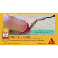 Gambar SIKA Sikadur 20 Crack Seal 850ML Penutup Retak Beton / Perekat Retakan dari Toko Bangunan ACC undefined 2 Tokopedia