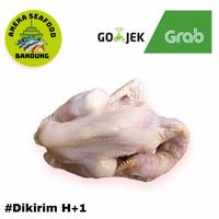 Gambar DAGING AYAM PEJANTAN / KAMPUNG SATU EKOR UTUH 800gr-1kg - Kampung dari Aneka Seafood Bandung undefined 1 Tokopedia