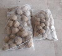 Gambar bakso sapi / pentol besar bakso solo dari GRIYAFROZENSIDOARJO undefined 1 Tokopedia