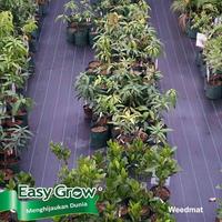 Gambar Weedmat Mulsa Easy Grow 1.2 x 100 meter per roll - Hijau dari VITA GARDENING undefined 5 Tokopedia