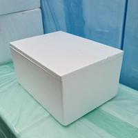 Gambar STYROFOAM BOX BENUR (Ukuran 10-15Kg) / Box Ikan segar / Styrofoam box dari Pasar Seafood Jakarta undefined 3 Tokopedia