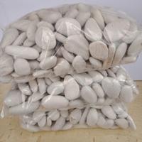 Gambar Batu Koral Putih 1Kg Kupang Ukuran S M L XL XXL Batu Alam Asli untuk Taburan Taman Pot Vas Dasar Kolam Aquarium Koral Sikat Carport Pijakan Reflexi Batu - S dari kiosmahkotabunga_NEW undefined 5 Tokopedia