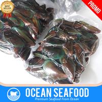 Gambar Kerang Hijau Segar/Kerang Ijo Fresh/Kerang Segar/Kerang Kijing Seafood - 1 kg dari Ocean Seafood Jakarta undefined 2 Tokopedia