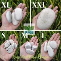Gambar Batu Koral Putih 1Kg Kupang Ukuran S M L XL XXL Batu Alam Asli untuk Taburan Taman Pot Vas Dasar Kolam Aquarium Koral Sikat Carport Pijakan Reflexi Batu - S dari kiosmahkotabunga_NEW undefined 1 Tokopedia