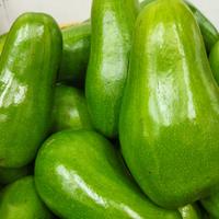 Gambar alpukat mentega super buah segar kemasan 1kilogram Buah segar dari Pondok Buah Charisa undefined 1 Tokopedia