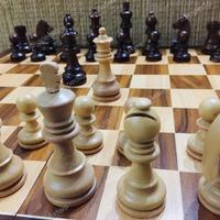 Gambar CATUR Kayu Sapodilla Little Golem Buah Catur saja (Chess pieces only) dari Astero-TrinityChessHouse undefined 3 Tokopedia