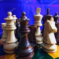 Gambar CATUR Kayu Sapodilla Little Golem Buah Catur saja (Chess pieces only) dari Astero-TrinityChessHouse undefined 1 Tokopedia