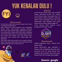 Gambar kacamata (frame + lensa) photocromic berubah warna model kotak 1924 dari Glory indonesia undefined 4 Tokopedia