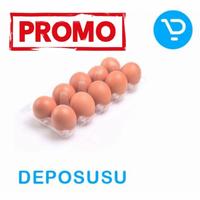 Gambar TELUR OMEGA 3 dari deposusu undefined 1 Tokopedia