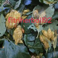 Gambar ulat kepongpong mengkudu umpan pancing bawal jitu per 20 kepongpong dari fitriherball92 undefined 2 Tokopedia