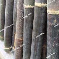 Gambar potongan bambu hitam wulung utuh panjang 15cm / potong dari AlfarizqPND_NEW undefined 3 Tokopedia