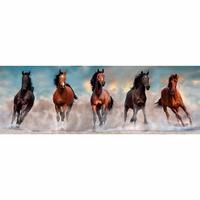 Gambar Puzzle: Clementoni - Panorama Horses (1000 Pieces) dari La Petite Fille undefined 2 Tokopedia
