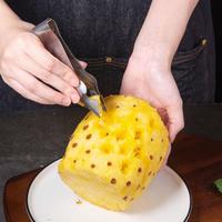Gambar alat pencabut mata nanas penjepit pencabut stainless steel dari marketstore888 undefined 4 Tokopedia