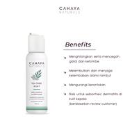 Gambar Tea Tree Mint Daily Shampoo & Conditioner 100ml Cahaya Naturals dari CahayaNaturals undefined 2 Tokopedia