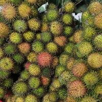 Gambar buah rambutan rapih ropiah garing manis ngelotok - BINJAI dari Asan Buah Segar undefined 1 Tokopedia