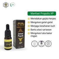 Gambar Propolis Murni 100% Original dari HerbaRuqyah undefined 2 Tokopedia