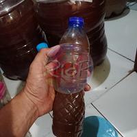 Gambar Pupuk Organik Cair PSB dari RioP. undefined 4 Tokopedia