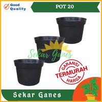 Gambar POT BUNGA HITAM 20cm TERMURAH pot tanaman plastik 20 cm grosir - RUP 20 HITAM dari Dander Fast undefined 3 Tokopedia