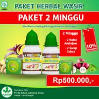 Gambar Obat Bab Sakit - Obat Bab Berlendir - Obat Bab Berdarah & Sakit benjol dari Obat Herbal shoop undefined 3 Tokopedia