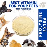 Gambar Prolysine Extra MultiVitamin Obat flu Anjing Kucing 130gr Pro lysine dari Max Larva undefined 2 Tokopedia