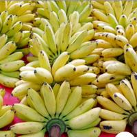 Gambar PISANG MAS ASLI MANIS PER 1KG dari Sayur Online Purwokertoo undefined 5 Tokopedia