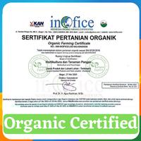 Gambar Tepung Tapioka Kanji Premium Cap Gunung Agung Rose Brand Premium Flour dari Pangan Export Indonesia undefined 3 Tokopedia
