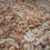 Gambar udang manis / udang kering / ebi 500gram dari Toko ikan Asin Mega undefined 2 Tokopedia