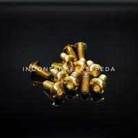 Gambar Titanium Bolt Taperhead M5x10mm Six Bolt Rotor - Baut Titanium Rotor dari Indonesia Bersepeda undefined 1 Tokopedia