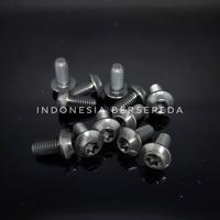 Gambar Titanium Bolt Taperhead M5x10mm Six Bolt Rotor - Baut Titanium Rotor dari Indonesia Bersepeda undefined 2 Tokopedia
