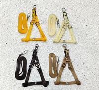 Gambar HARNESS Y + LEASH - kucing, musang,kelinci, puppy, small breed (BL01) dari Putzy Store undefined 4 Tokopedia