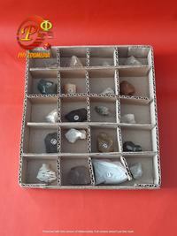 Gambar Koleksi Batuan Sediment / Batu Sediment / Collection of Sediment Rock dari Phy Edumedia undefined 4 Tokopedia