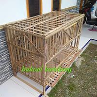 Gambar Kandang Ayam Bambu Lipat Bongkar Pasang Indukan Koloni dari Bakuel Kandang undefined 1 Tokopedia