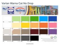 Gambar NO DROP Cat Tembok Luar / Cat Anti Bocor Water Proof 4 kg - 022 dari Mega Perkasa Lestari undefined 2 Tokopedia