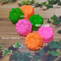 Gambar Set 12pcs Cetakan Puding TERATAI Agar2 Jelly Bolu Kukus Talam Putu Ayu dari Raselie Shop undefined 1 Tokopedia