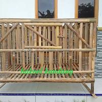 Gambar Kandang Ayam Bambu Lipat Bongkar Pasang Indukan Koloni dari Bakuel Kandang undefined 3 Tokopedia