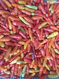 Gambar Cabe Rawit Merah 250gr dari UD. J.NAL undefined 1 Tokopedia