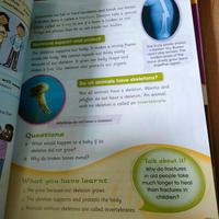 Gambar cambridge primary science 4 Fiona baxter dari AlvinSiahaan undefined 3 Tokopedia