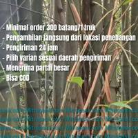 Gambar Bambu cor Stiger - Tangerang dari PD MitraPasir undefined 3 Tokopedia