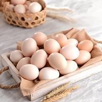 Gambar Sesa Telur Ayam Kampung isi 30 butir dari Sesa Indonesia_NEW undefined 1 Tokopedia